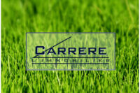 https://www.carrerelimmobilier.com/wp-content/plugins/h2i-annonces-manager/images/no_photo.jpg